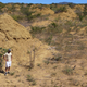 Some of the termite mounds were astoundingly large.